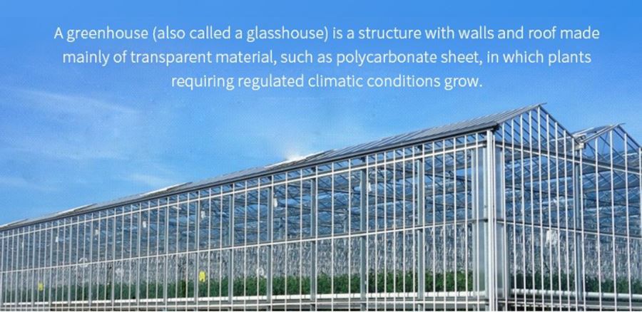 china polycarbonate plastic for greenhouse