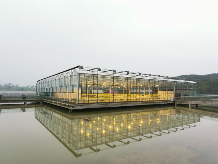 Features and benefits of glass greenhouses