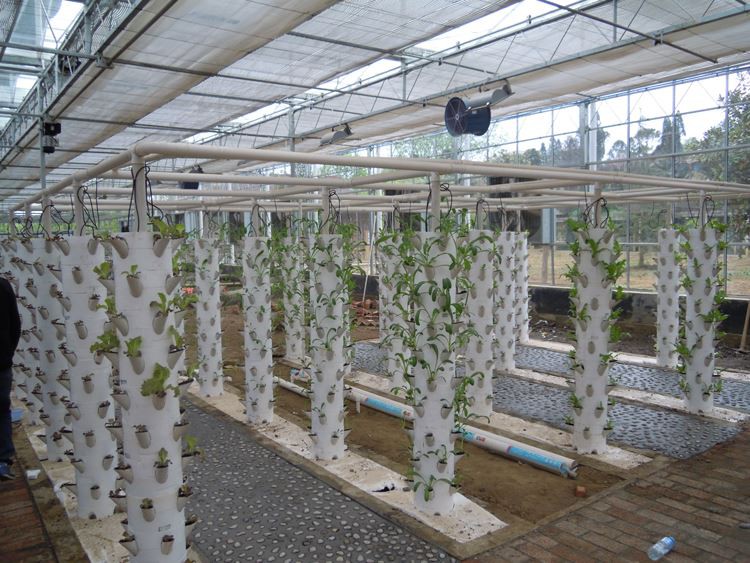 solar panel greenhouse with Hydroponic system