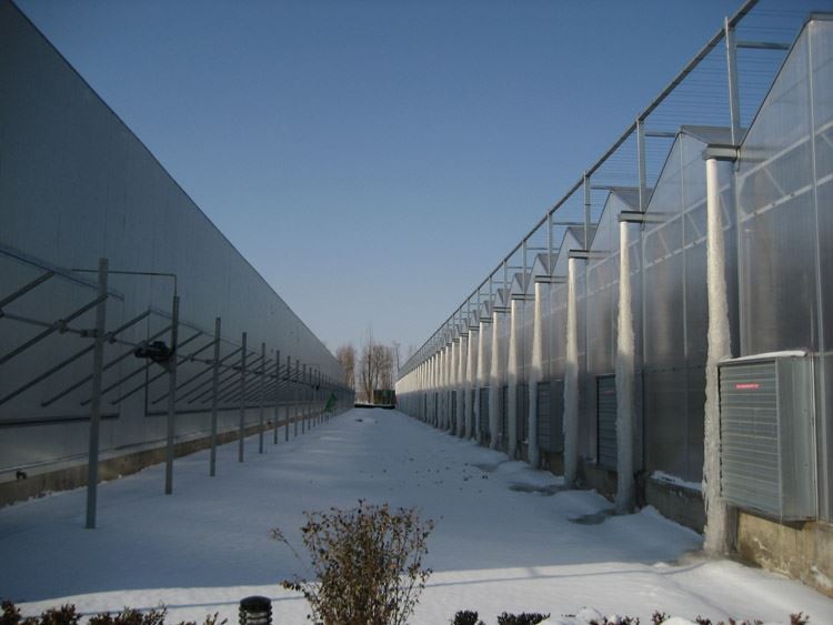 Glass Greenhouses