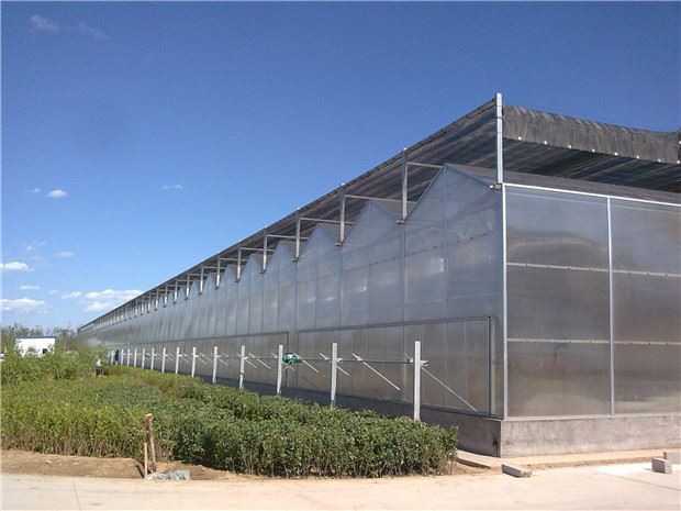 What are the basic conditions required to build a smart greenhouse