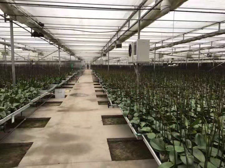 Greenhouse