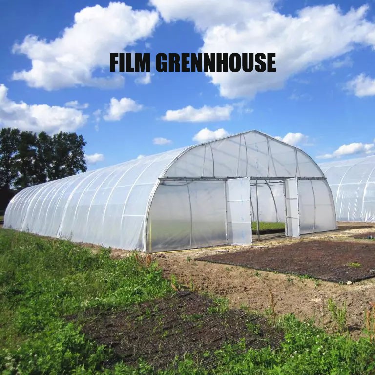 film in greenhouse