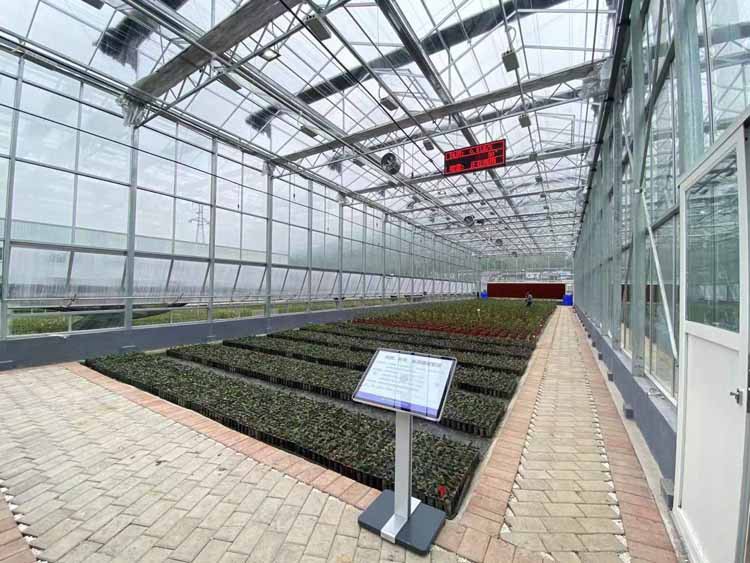 Fruit Smart Glass Greenhouse