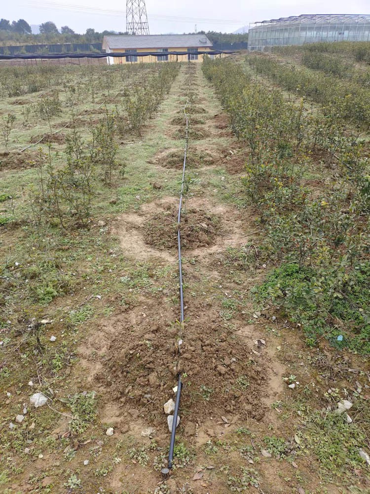 Irrigation System